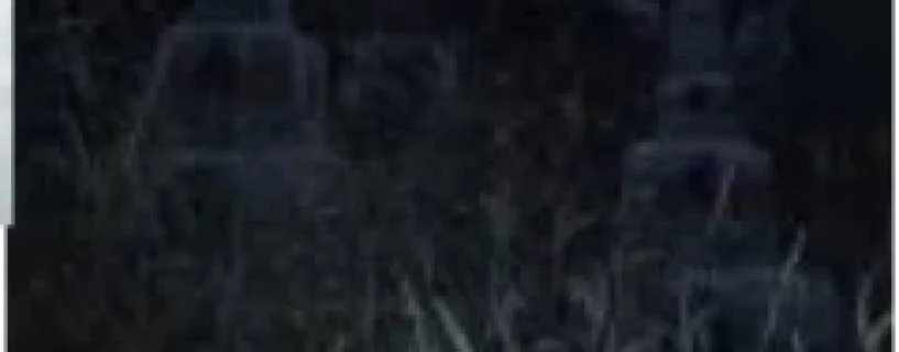 Graveyard404 Free Download