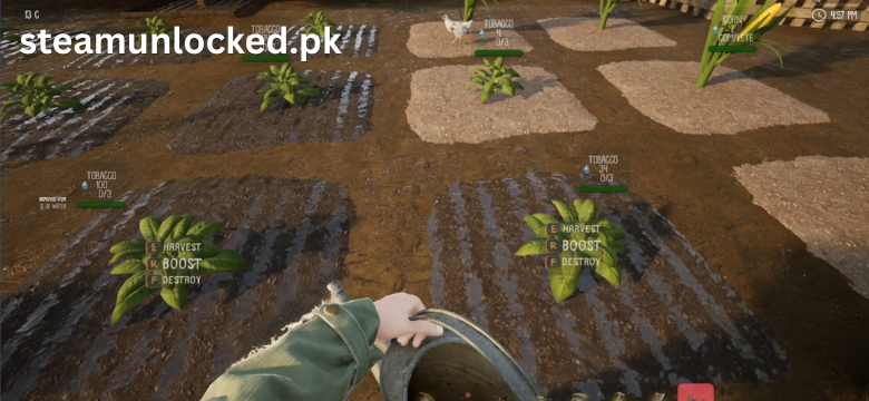 Hillshade Farm torrent
