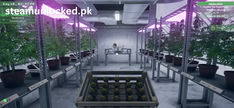 Weed Supermarket Simulator torrent