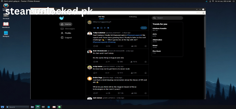 HackHub torrent
